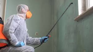 Trusted Plano, IL Mold Removal Services Experts