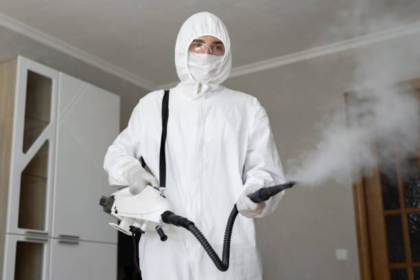 Best Mold Prevention Services  in Plano, IL